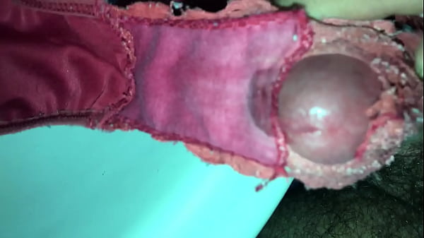 Download Video - Gozei gostoso com a calcinha da minha sogra