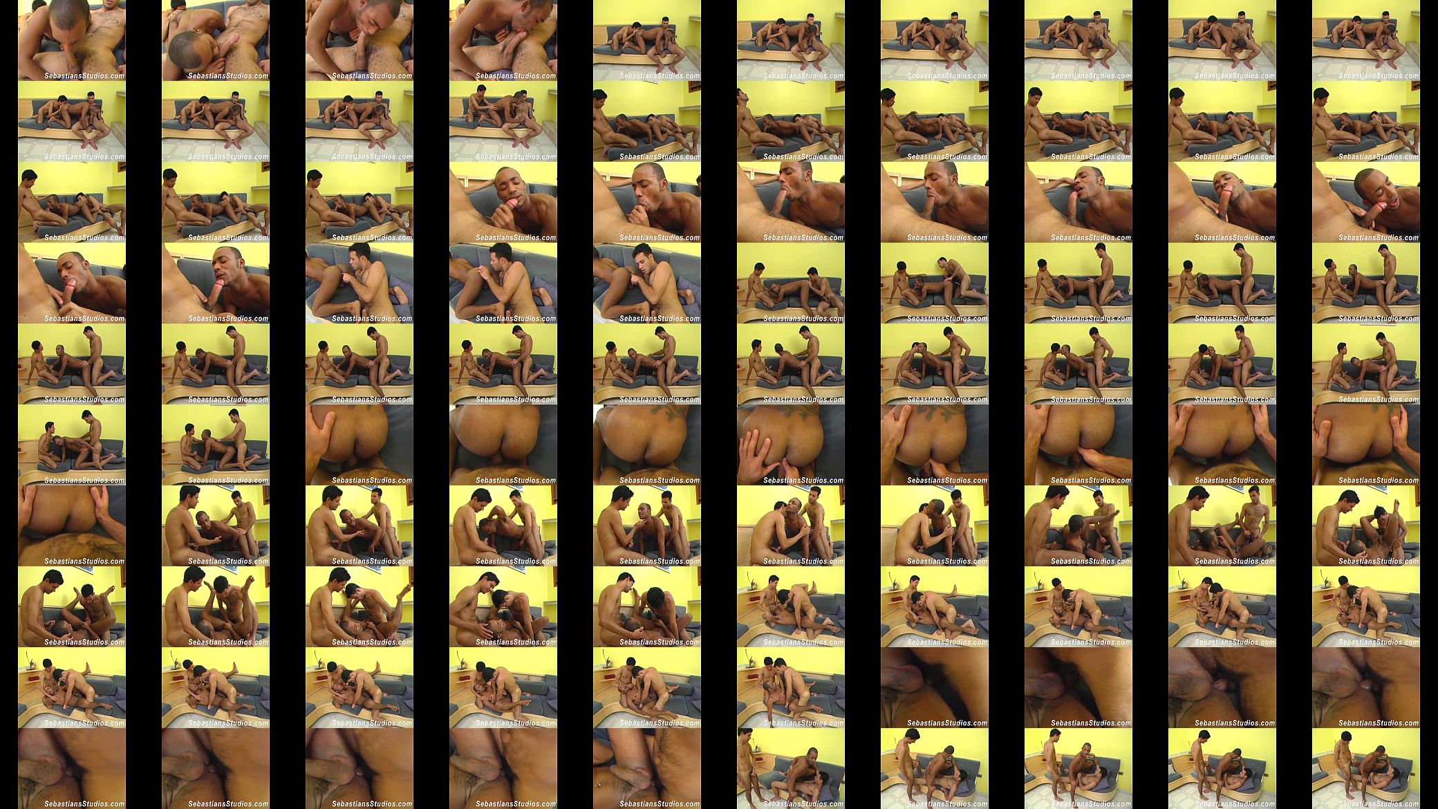 Three Latin Bareback Pigs 预览图
