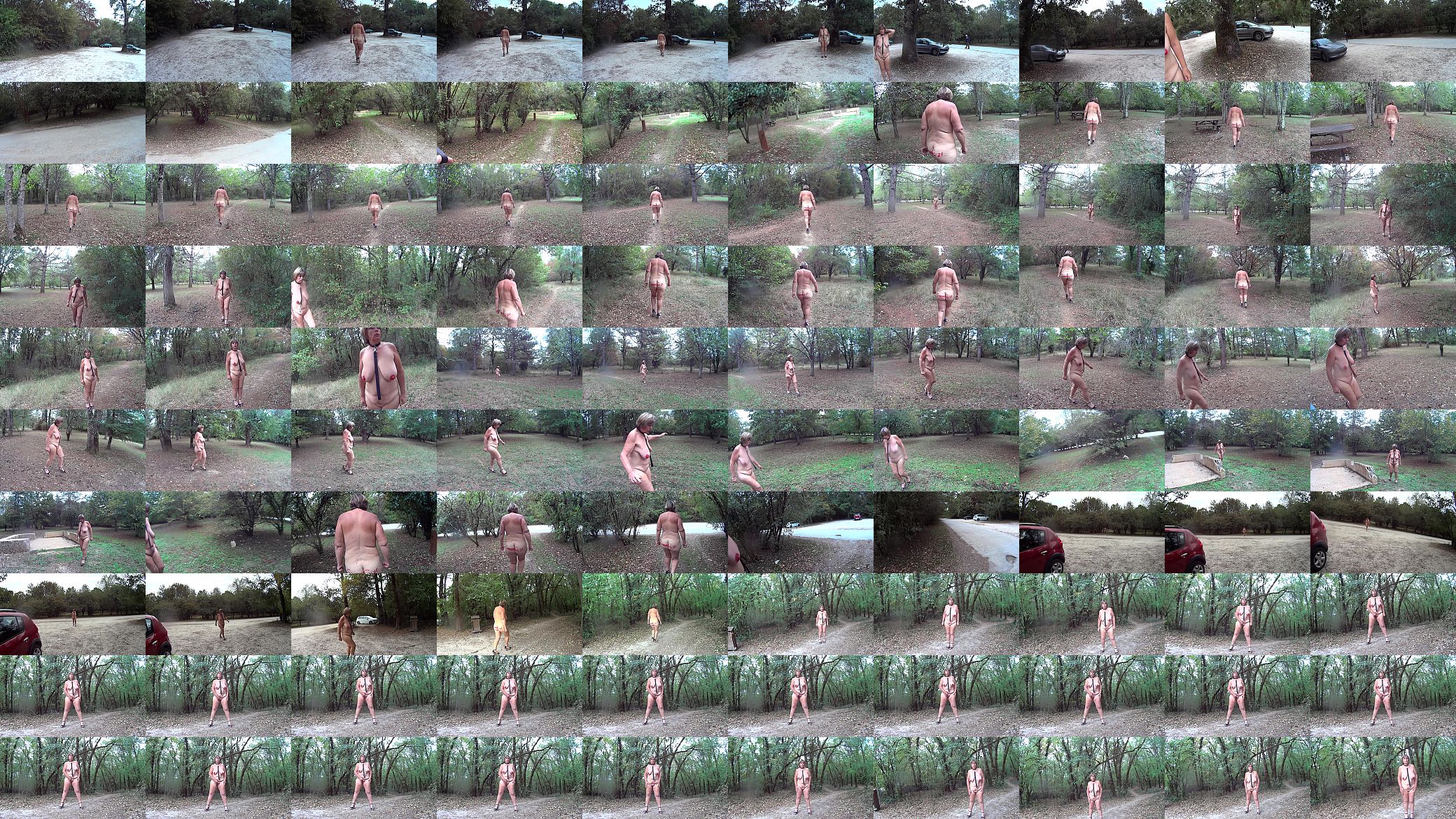 Suzisoumise paraded naked in public 预览图
