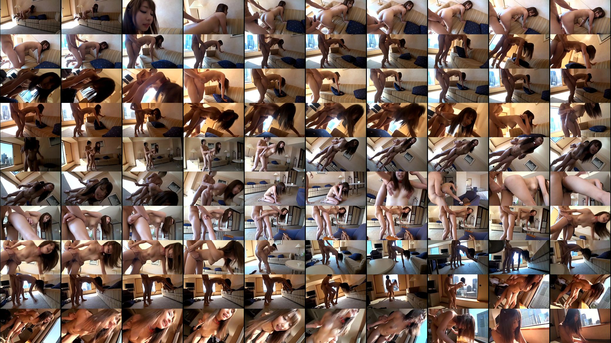 ayami shyunka dog training 预览图
