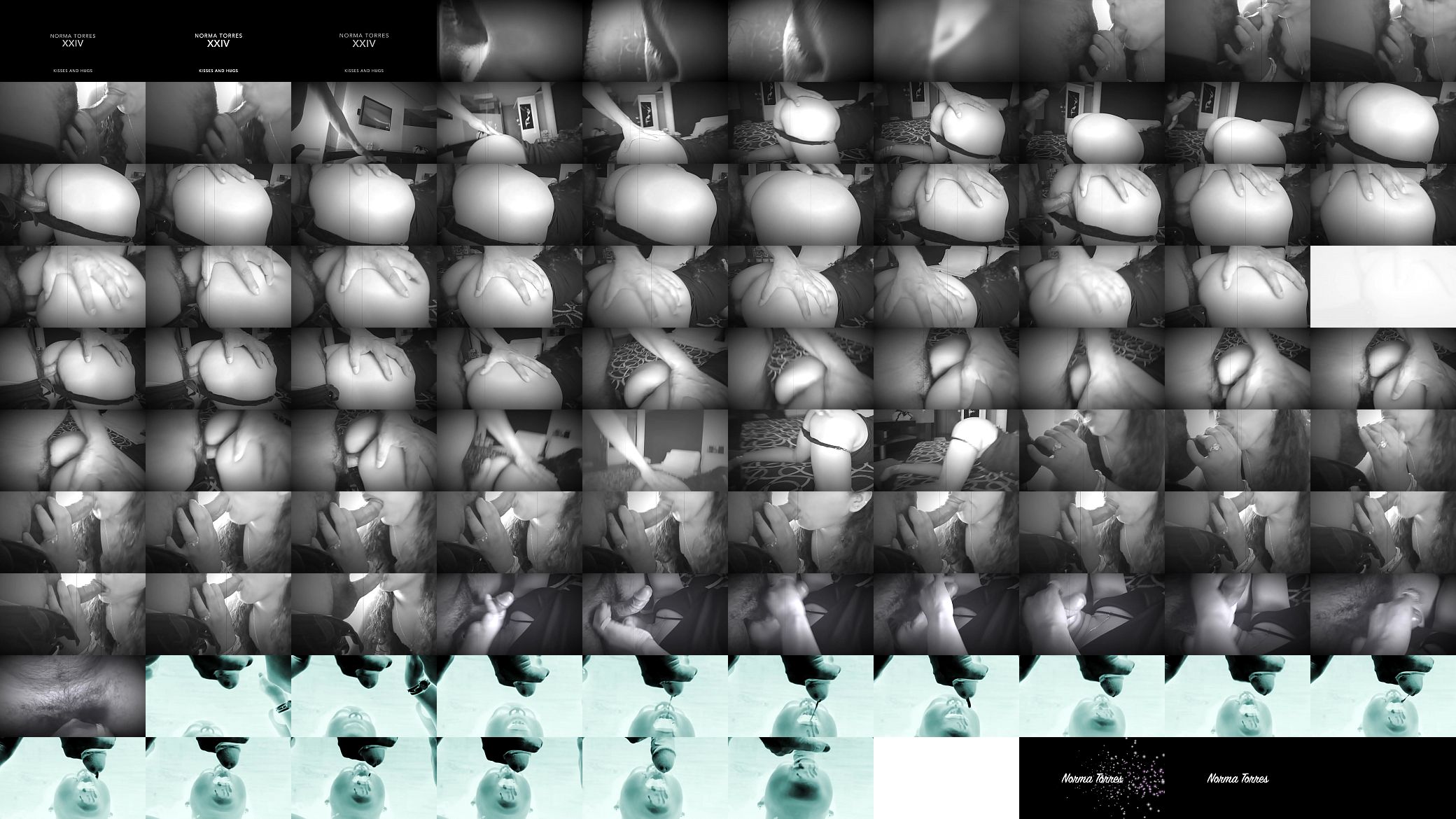Norma Torres XXV 预览图