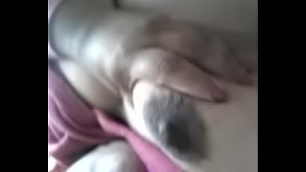 Download Video - Mi gorda de Puebla Goloza se toca para mi&period;