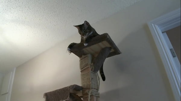 See what they do when they chill, hear them chat about everything and anything, then...