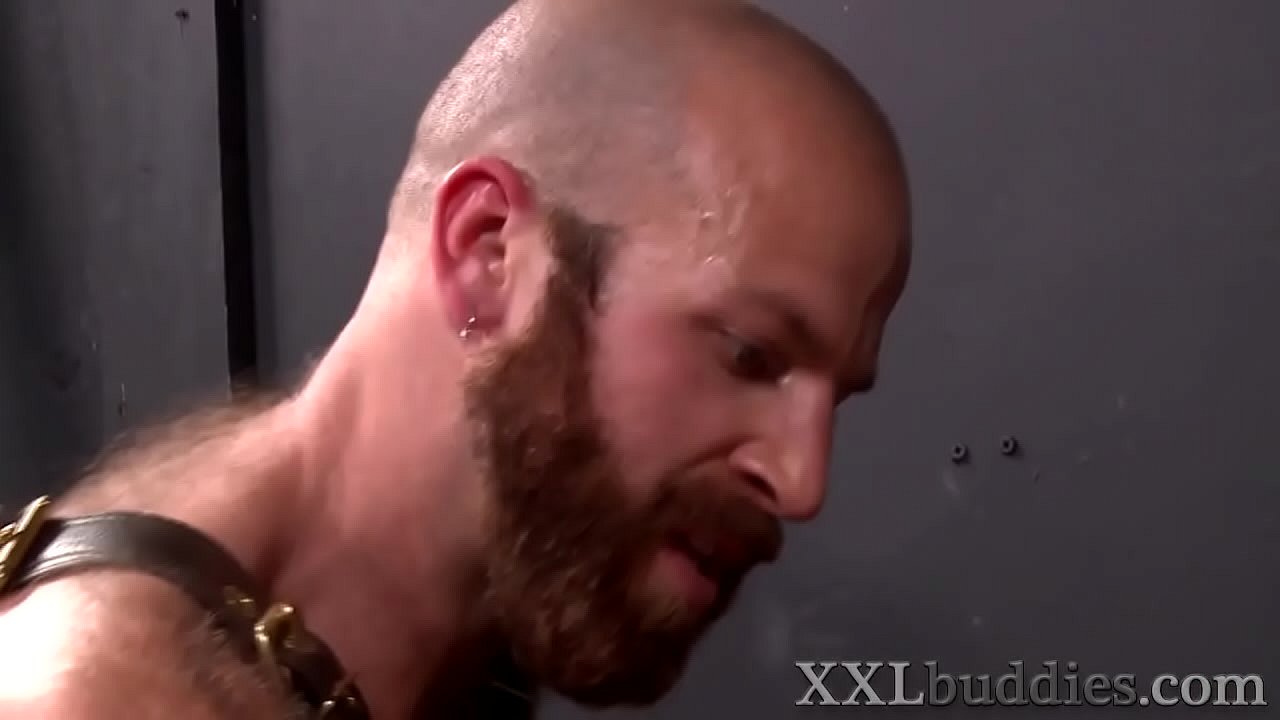 Oso con gran polla se folla el culo y se masturba
                   hardcore masturbation bigcock assfingering bigcocks bigdick gay hd bear gays harness jay donahue james stevens muchos negros