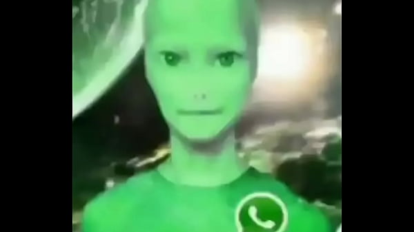 MANDA MANDA MANDA