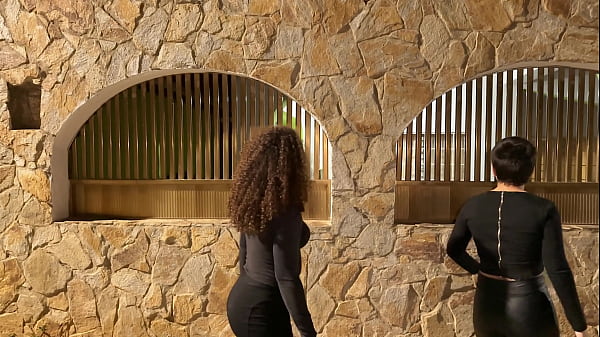 Sexy Burglars VS Booby Traps