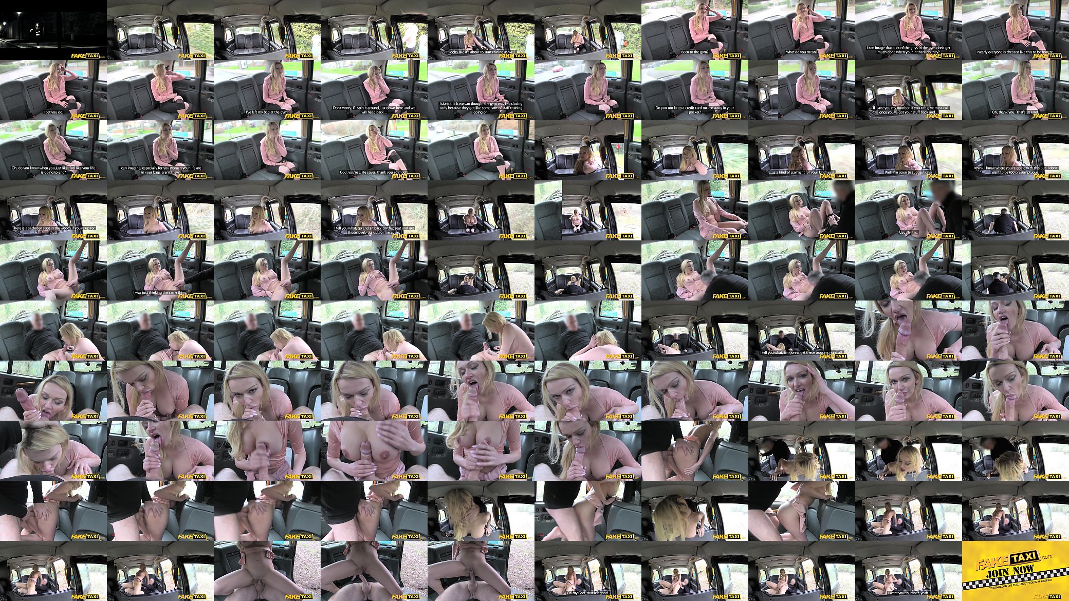Fake Taxi Sexy mum with big tits sucks cock 预览图