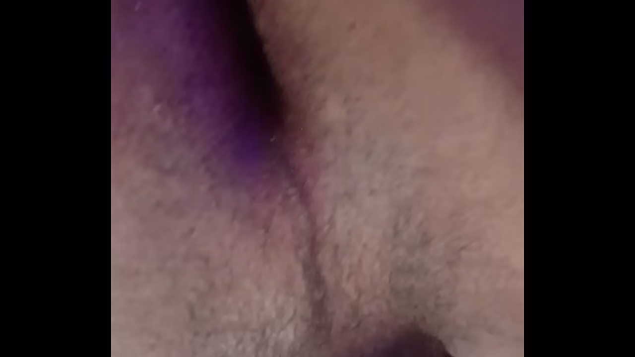 Ipautaarturo - update #13 - 1000249386 - Feb 12, 2026