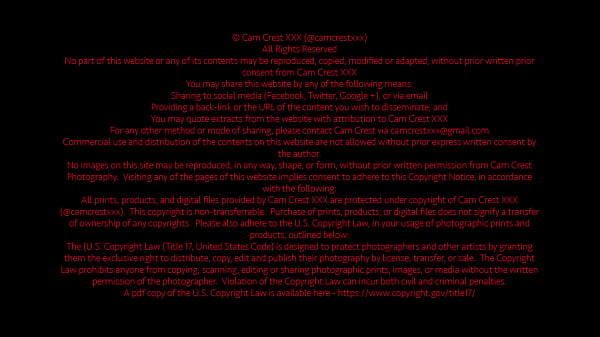 Asian MILF Cum Slut Trainer