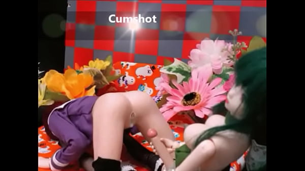Doll love. I ’m coming. 1/6 confine Moe video with dolls S〇X. Videos where dolls perform sexual acts