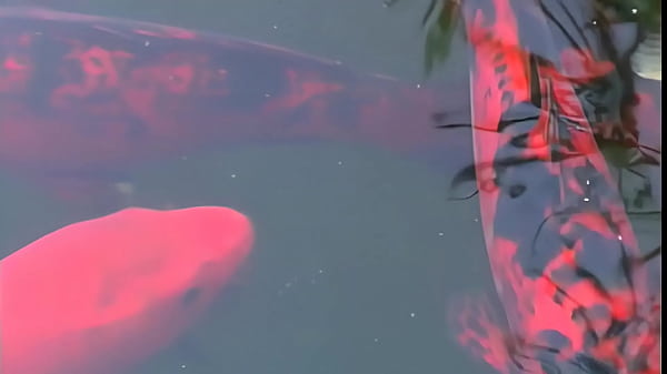 【自撮りオナニー】今日おか◯さんいないから部屋で気軽におなにーできて嬉しかったです...