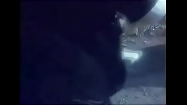 Zone Brumeuse Buck-Tick