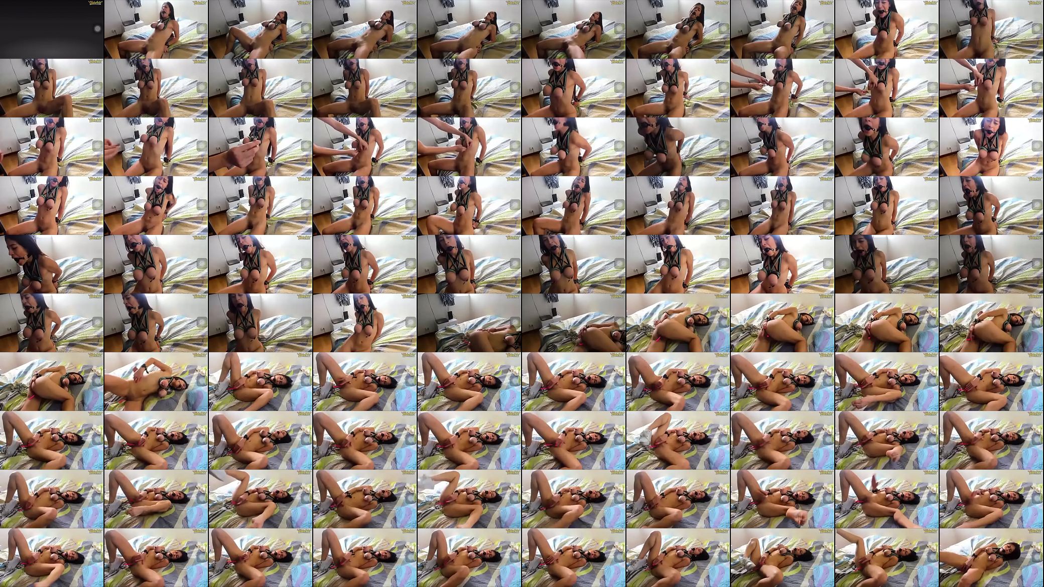 Flaca caliente 预览图
