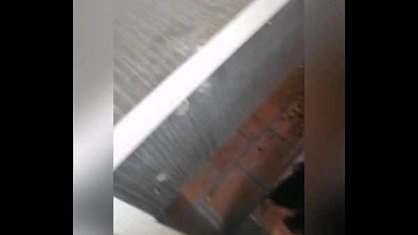 Download Video - EN LA CALLE SE LO COMIO &iexcl;&iexcl;