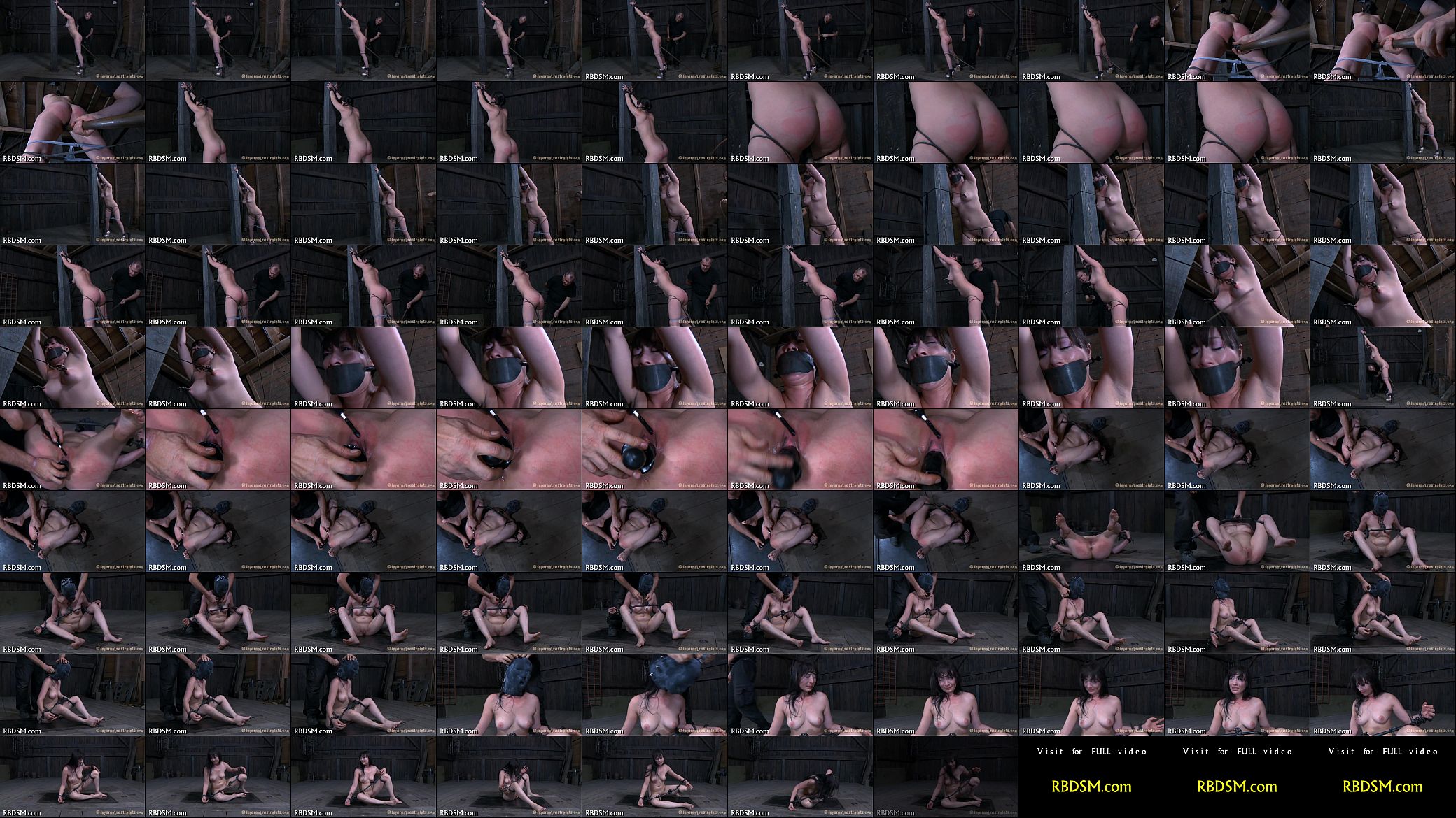 t. of babe&#039;s hot assets 预览图
