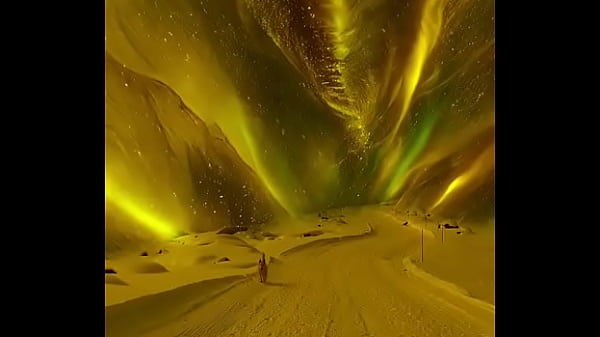 Solo quiero dejar de sentirme solo..