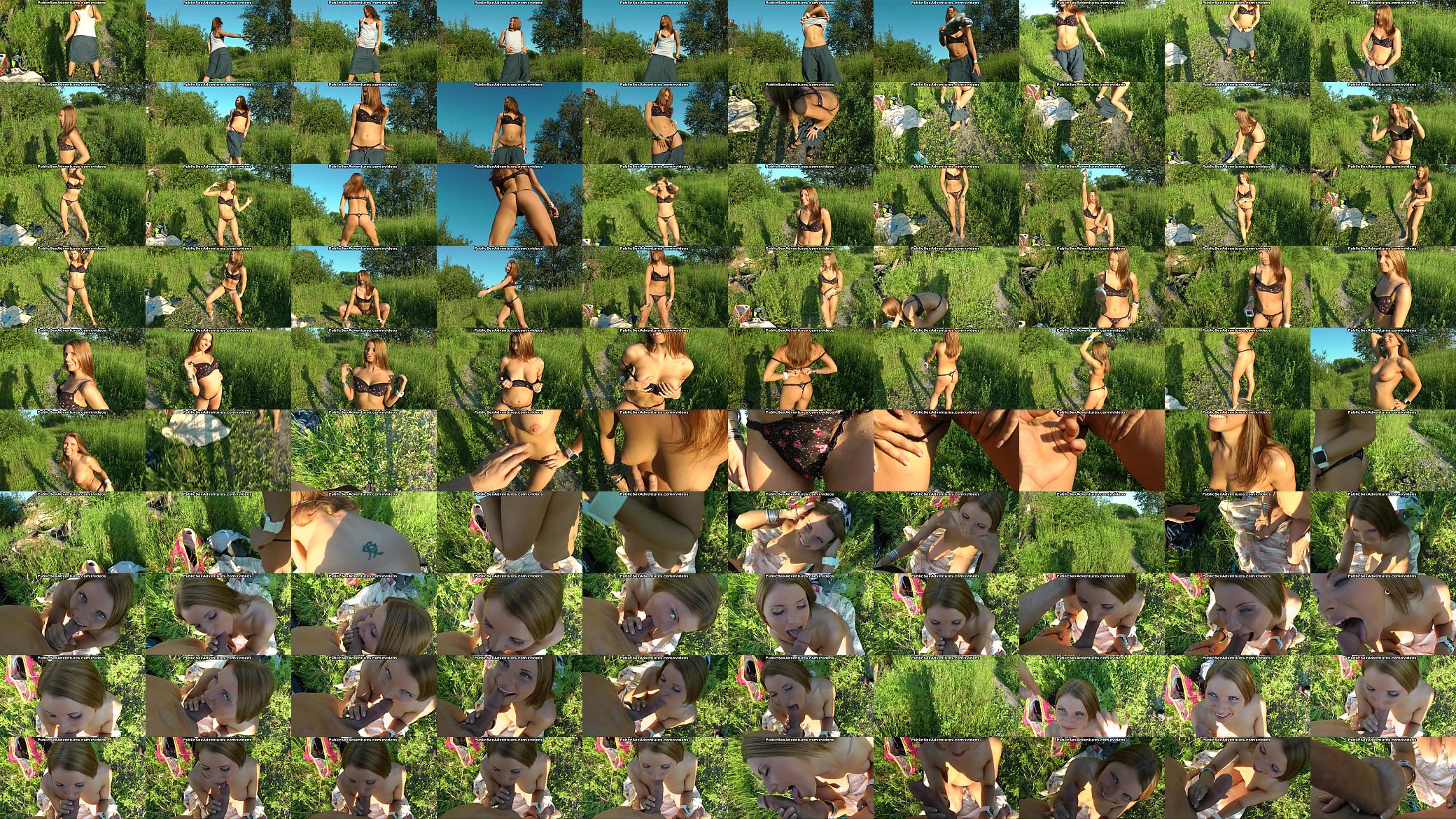 Oral pleasures in the park 预览图