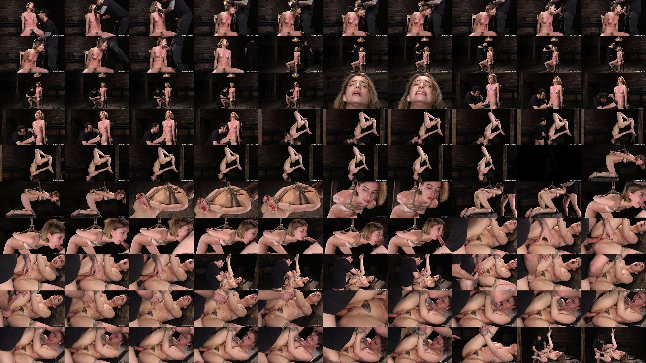 Blonde throat and pussy fucked bdsm 预览图