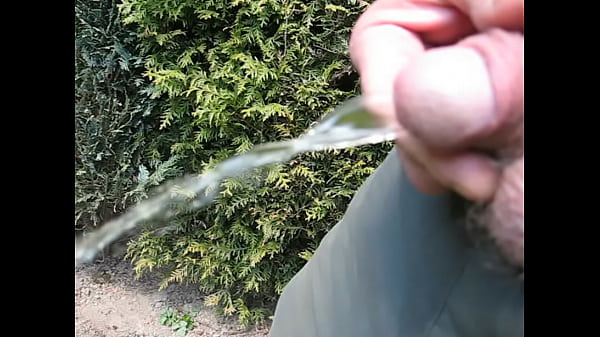 GAY PISS