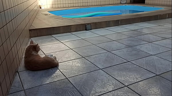 Gatão peludo sensualizando à beira da piscina
