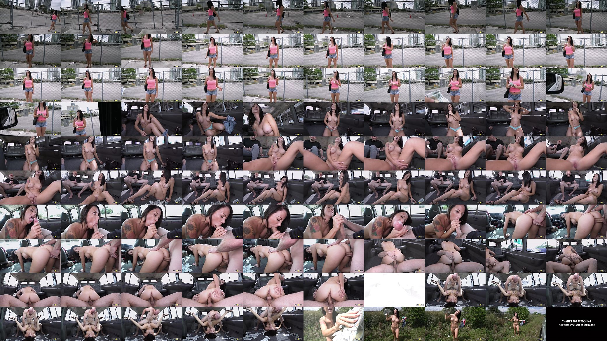 Beautiful Out of Town Girl Audrey Miles Rammed in a Van 预览图