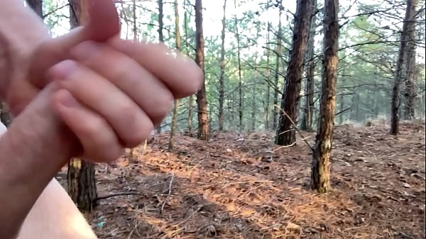 Download Video - Clitlicker662 - update &num;28 - IMG 1283 - Dec 31&comma; 2024