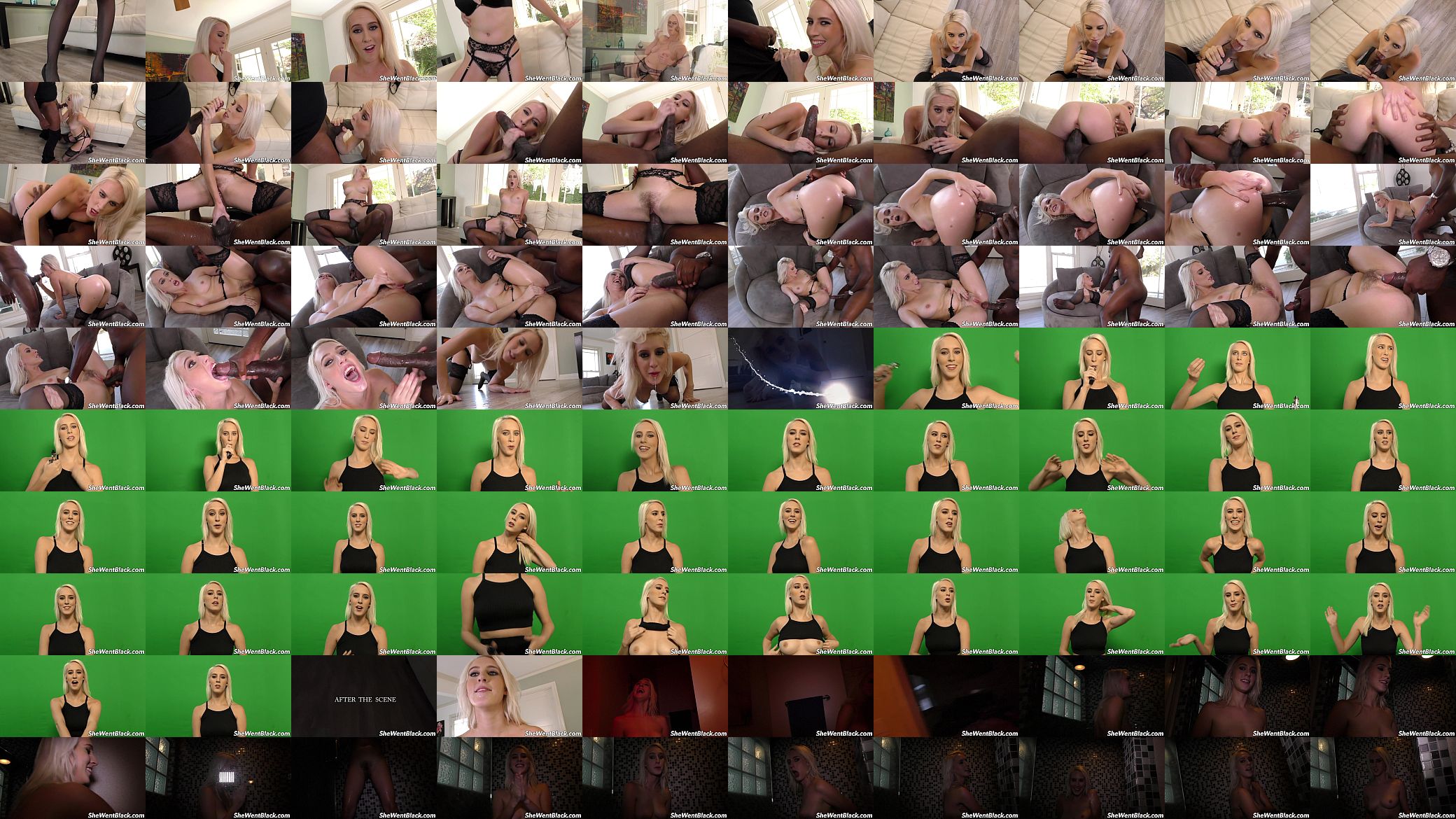 Cute Blonde Hammered by Black Mandingo Cock 预览图