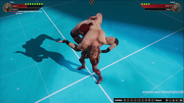 Terms VS Sedna (Naked Fighter 3D)