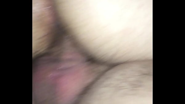 Équitation