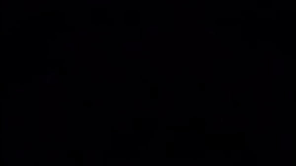 Amy Lizvette Trujillo