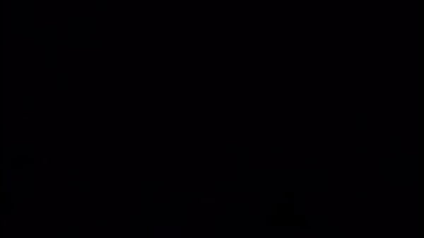 Amy Lizvette Trujillo