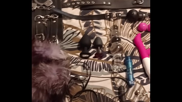 Nikita7 - update #16 - Sep 29, 2024