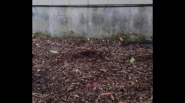 Fmeanal420 - update #2 - 20240604 205116 - Jun 22, 2024