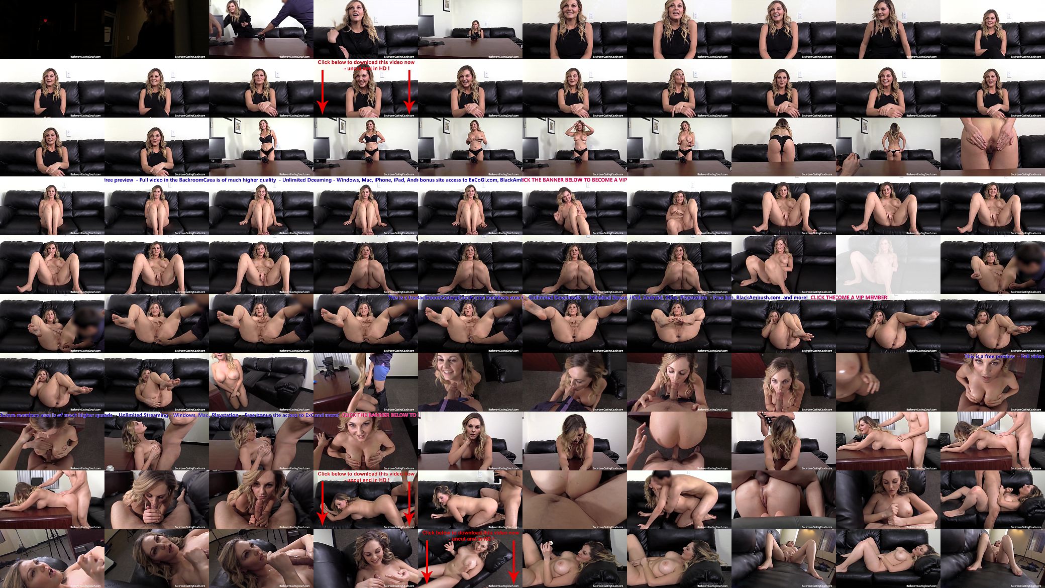Big Tits MILF Fucked In The Ass on Casting Couch 预览图
