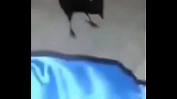 Ummm  Brib