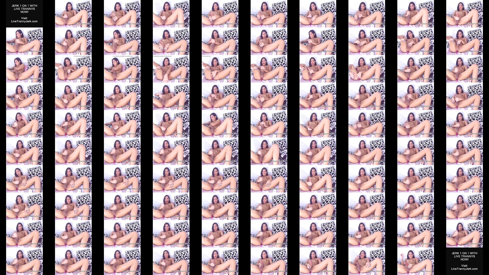 Lovely tgirl big cock cums 预览图