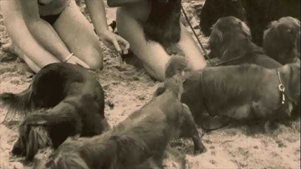 A szépség és a szörnyeteg retro szexuális kalandja
