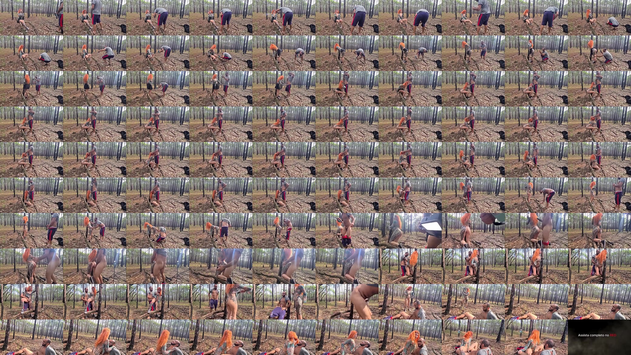Socando no pelo a safada na floresta 预览图