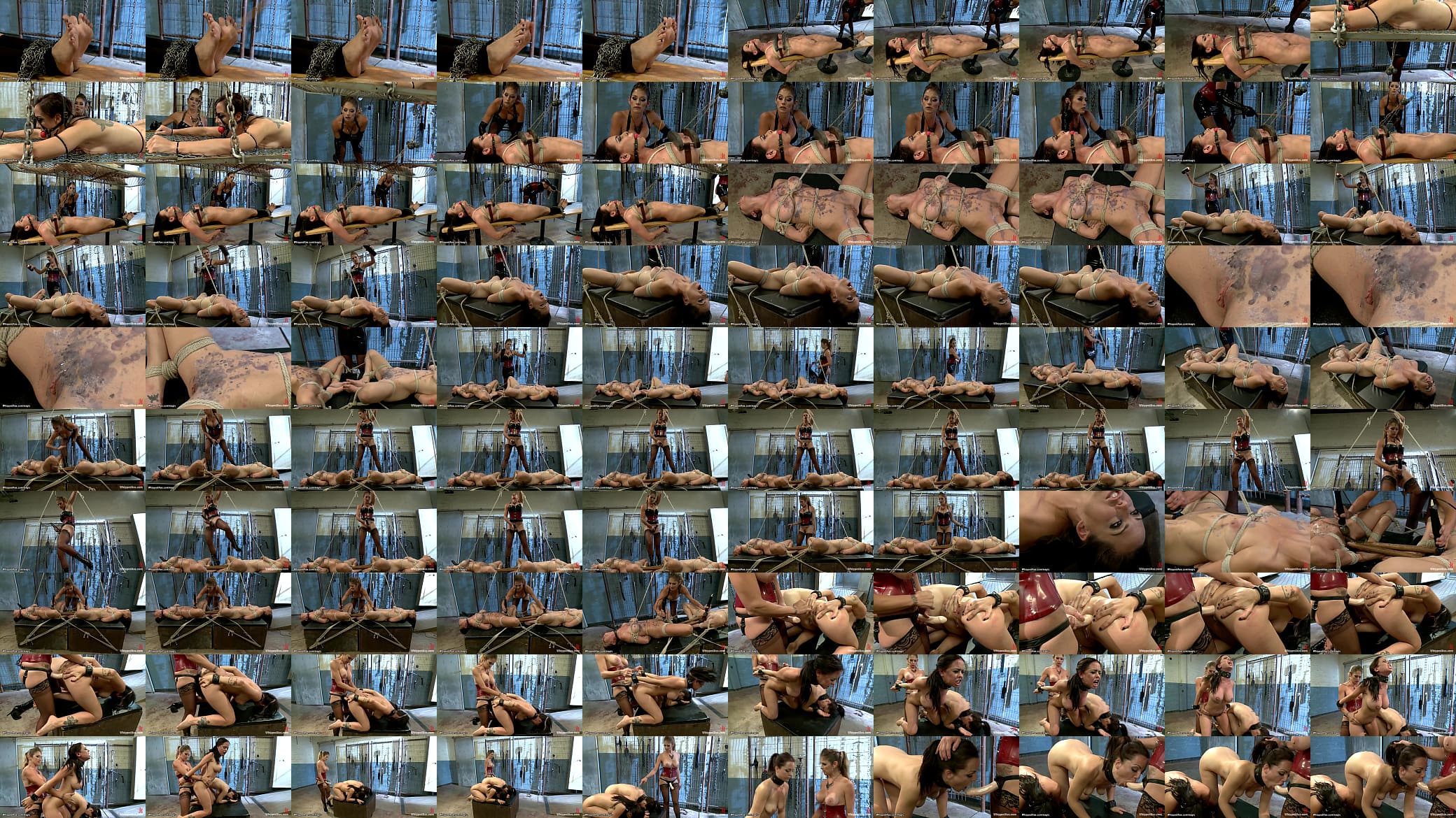 Bound lesbians hot waxed and whipped 预览图