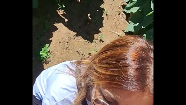 Teresa Jones's Blowjob in the Sunflower Field