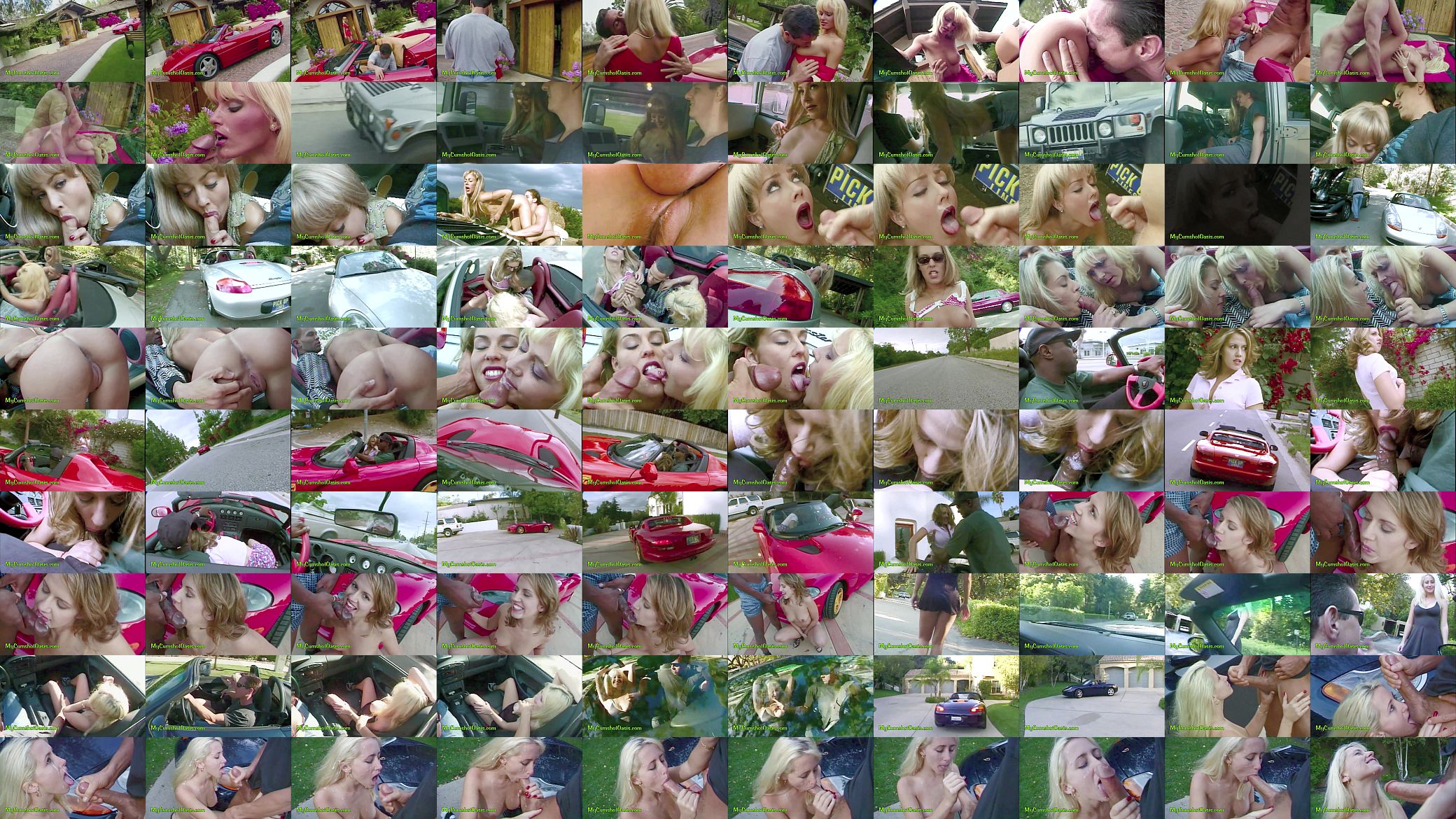 Sex Drive Babes 2 预览图