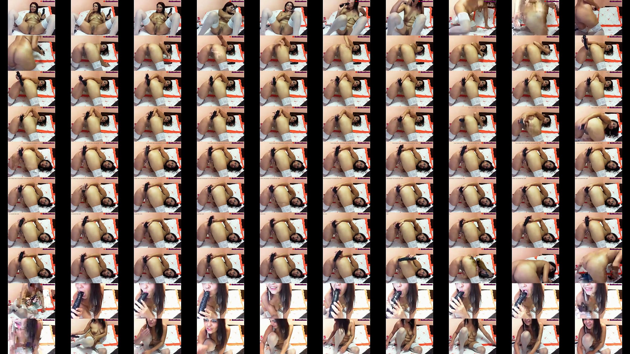 en webcam 预览图