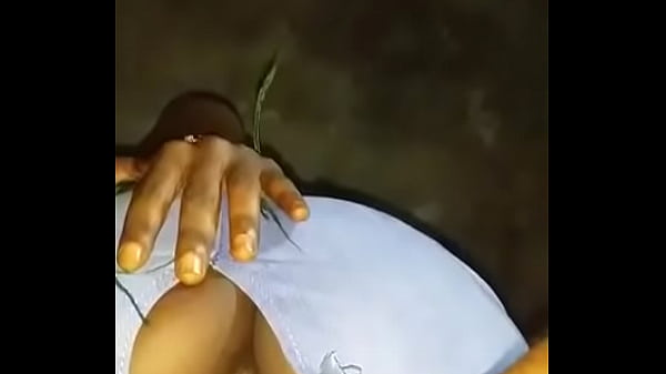 検証ビデオ