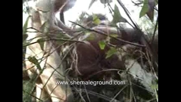 Chap Perce Une Transsexuelle Noire Dans Un Endroit Isolé