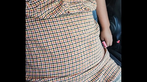 Manoseada en el carro