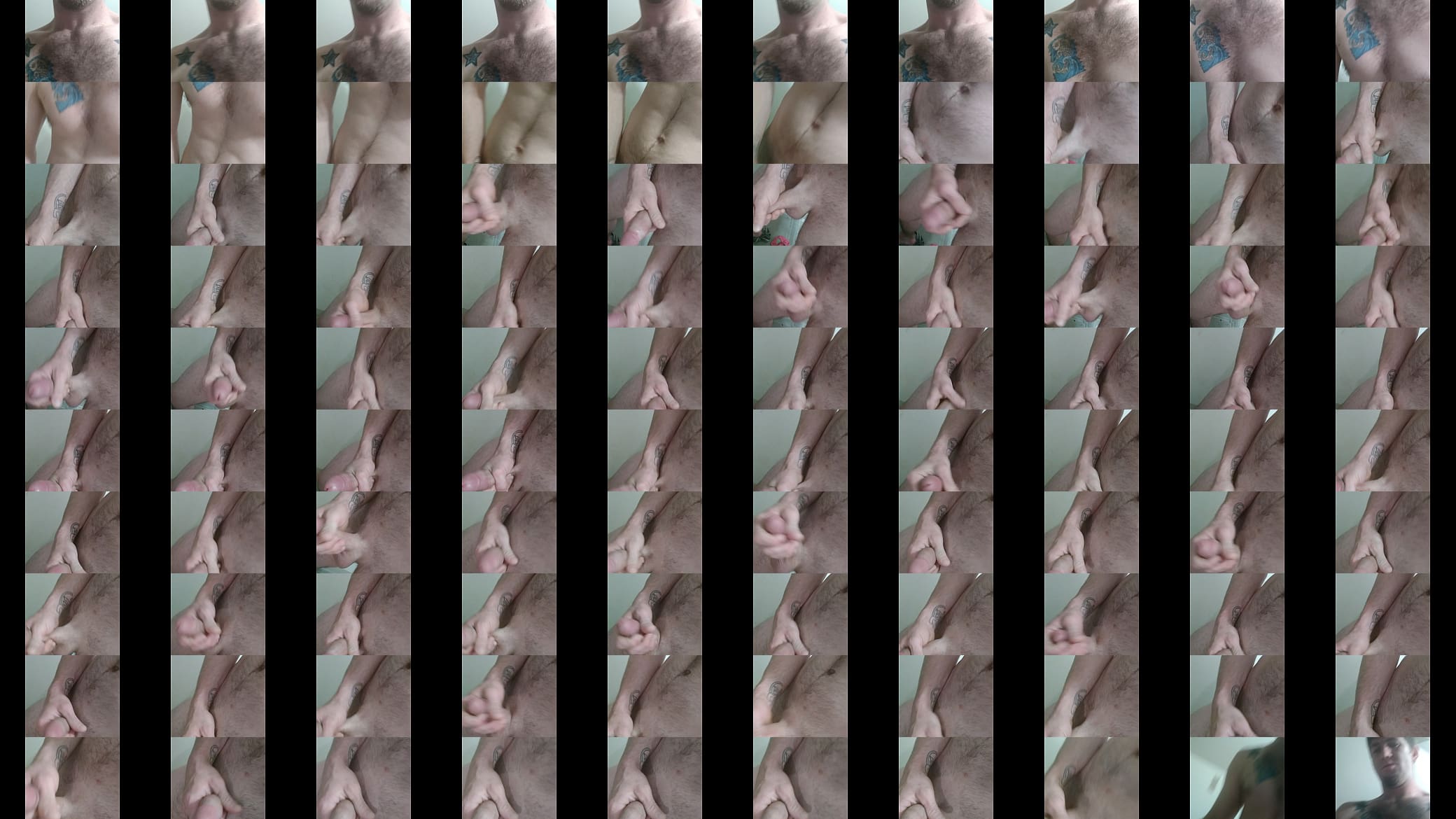 Verification video 预览图