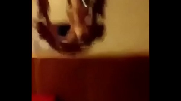 Download Video - Lo que encontr&eacute; mi t&iacute;o y mi amigo