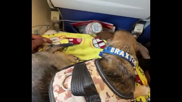 Miami  LAVegas PhoenixJacksonville Fl up next ️