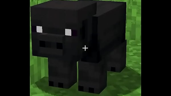 mi perroooooo no mames