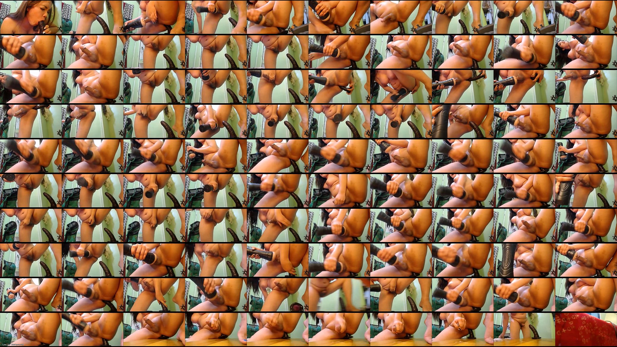 Hardcore Shemale Masturbation with Sex Toys 预览图